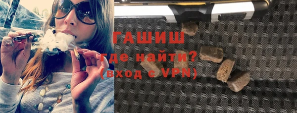 стафф Касимов