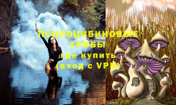 стафф Карталы