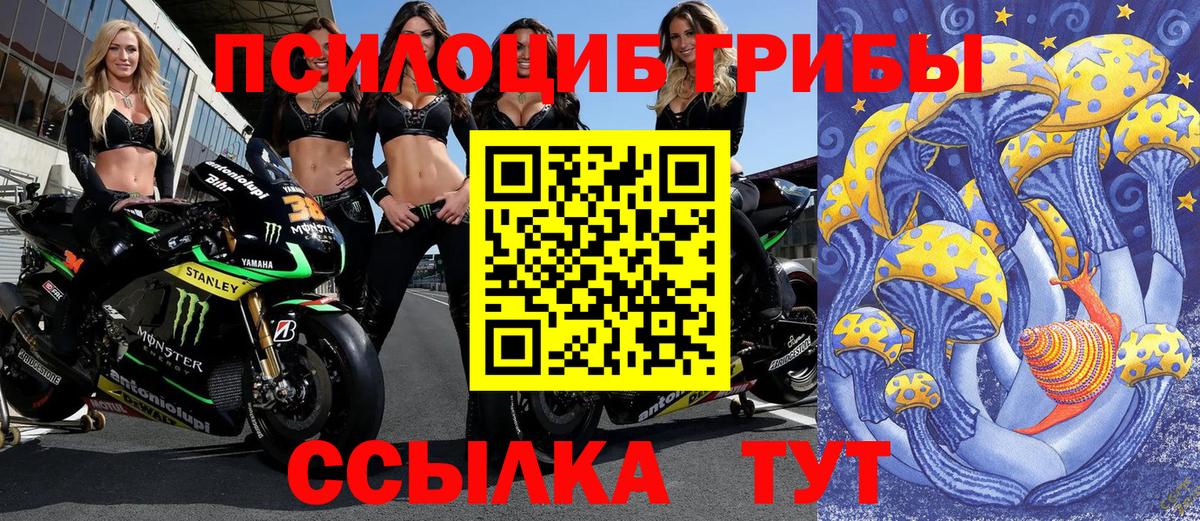 Галлюциногенные грибы Psilocybe Сунжа