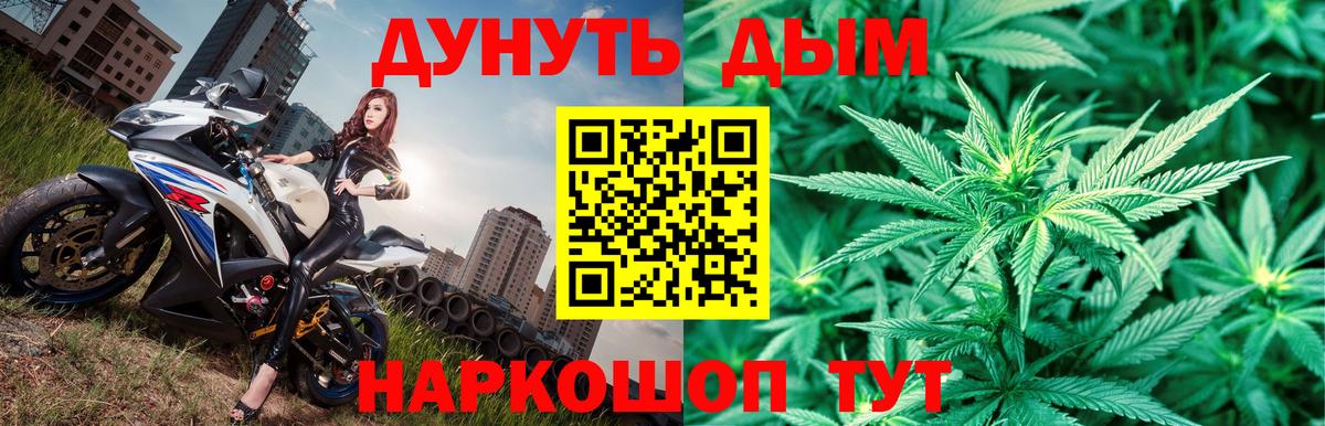 Марихуана конопля Сунжа