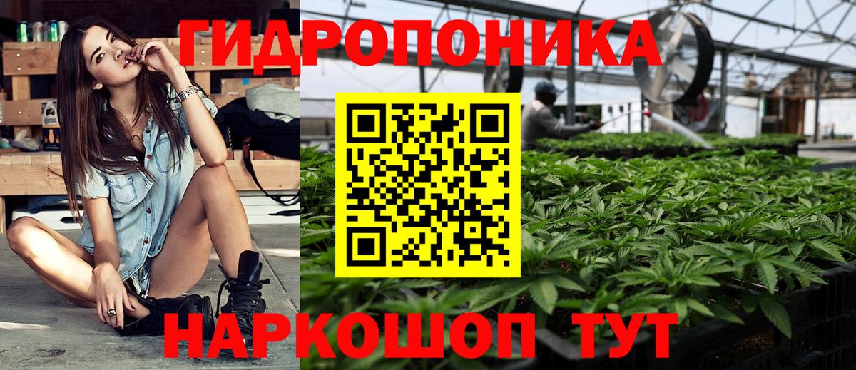 Шишки марихуана гибрид  Вход с VPN  Бошки Шишки планчик  Сунжа  Каннабис семена  Канабис планчик 